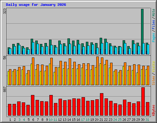 Daily usage for January 2026