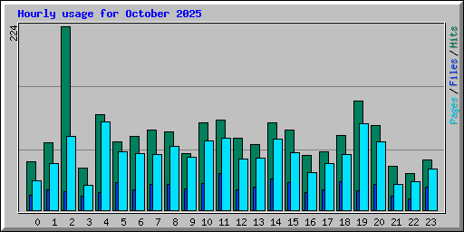 Hourly usage for October 2025