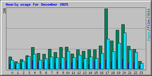 Hourly usage for December 2025