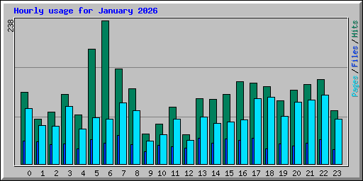 Hourly usage for January 2026