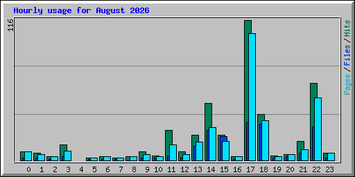 Hourly usage for August 2026